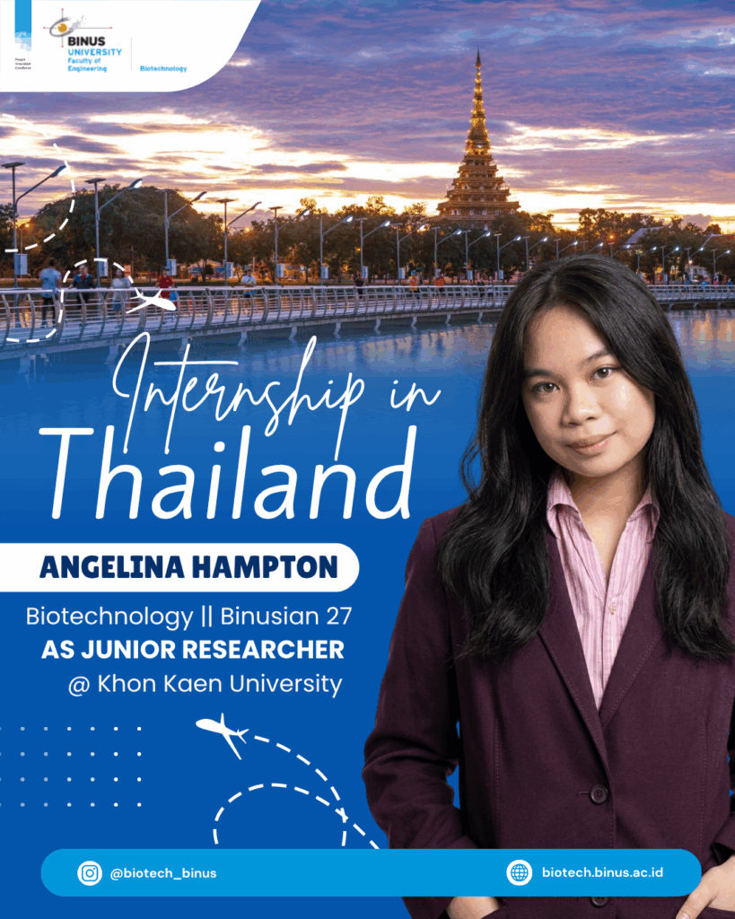 Poster internship Thailand mahasiswa Biotechnology, Binusian 27, Angelina Hampton sebagai junior researcher di Khon Kaen University